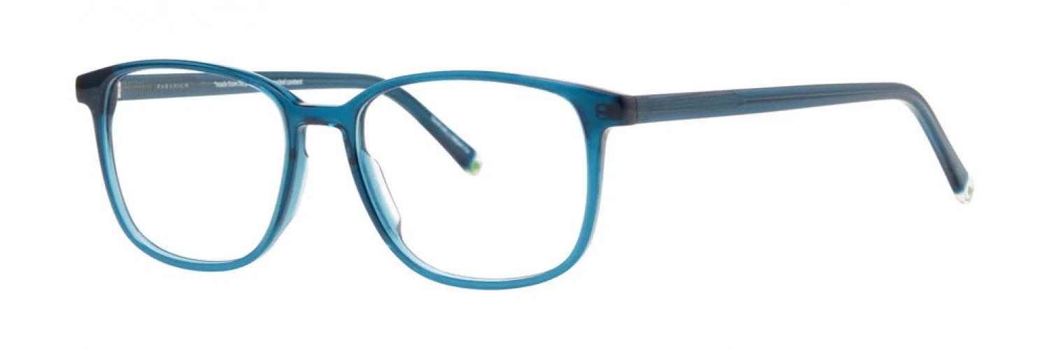 Paradigm Len Eyeglasses - view 4